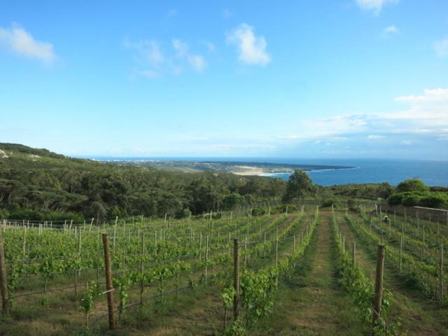 호텔 Quinta Vale Da Roca