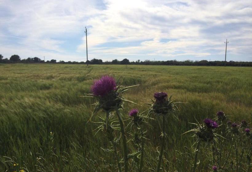 酒店 Sa Bassa Crua Agroturismo