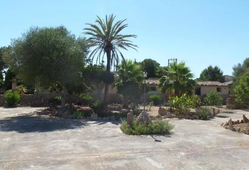 ホテル Sa Bassa Crua Agroturismo