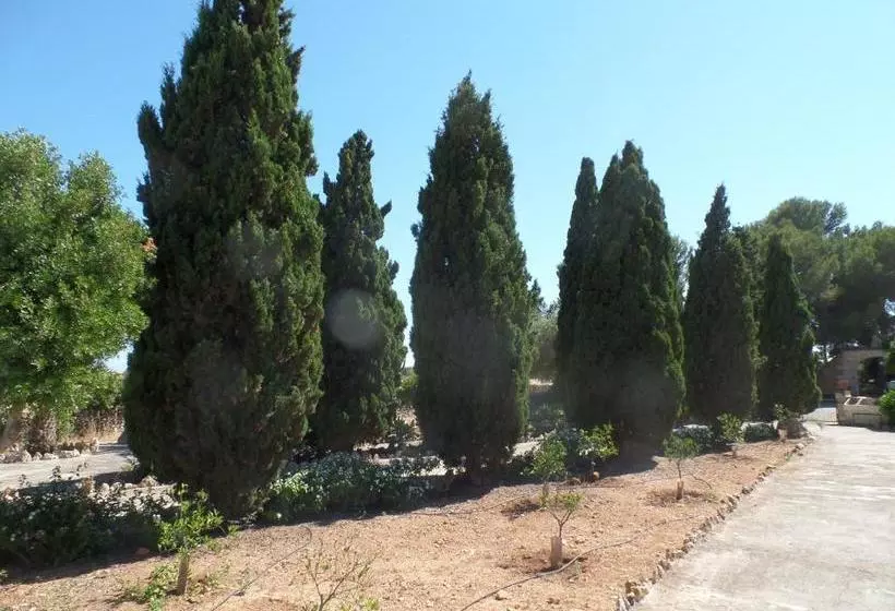 ホテル Sa Bassa Crua Agroturismo