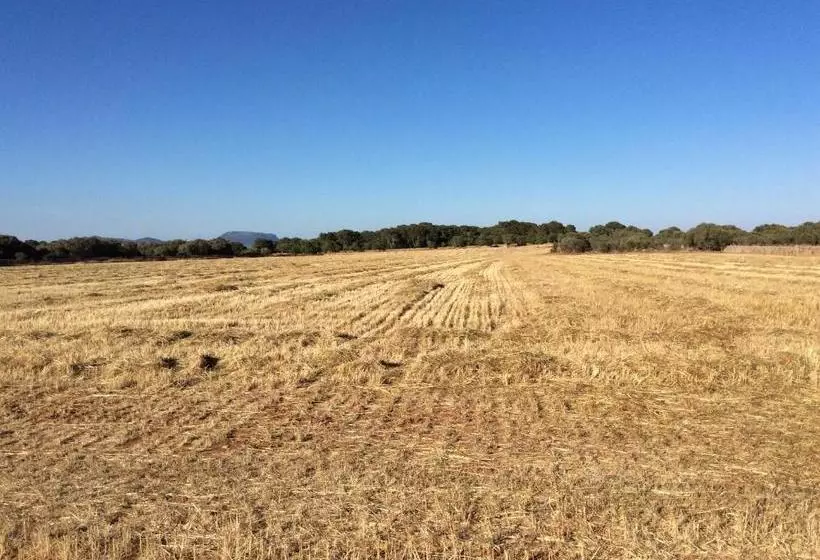 ホテル Sa Bassa Crua Agroturismo