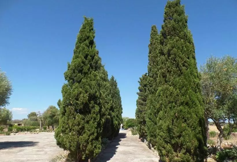 ホテル Sa Bassa Crua Agroturismo