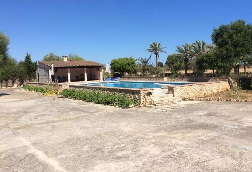 ホテル Sa Bassa Crua Agroturismo