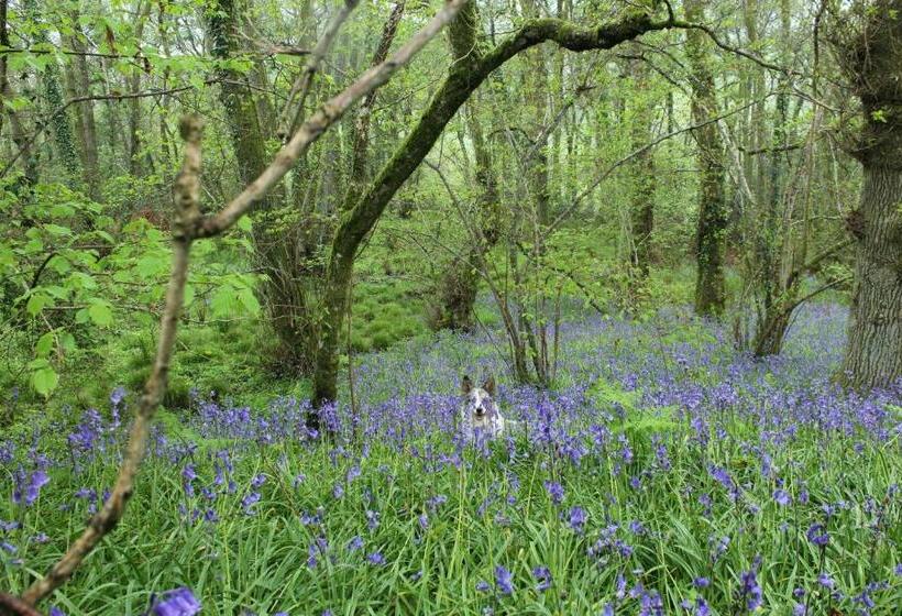 Mincombe Barn Bed & Breakfast