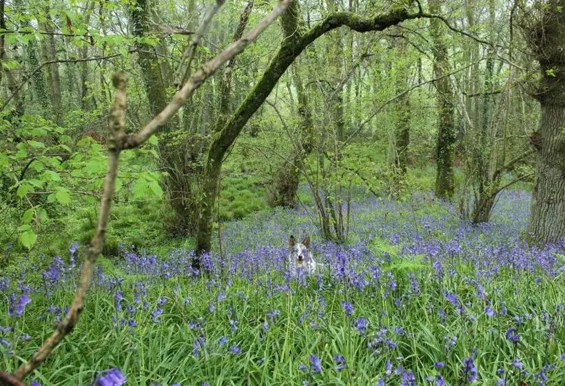 Mincombe Barn Bed & Breakfast