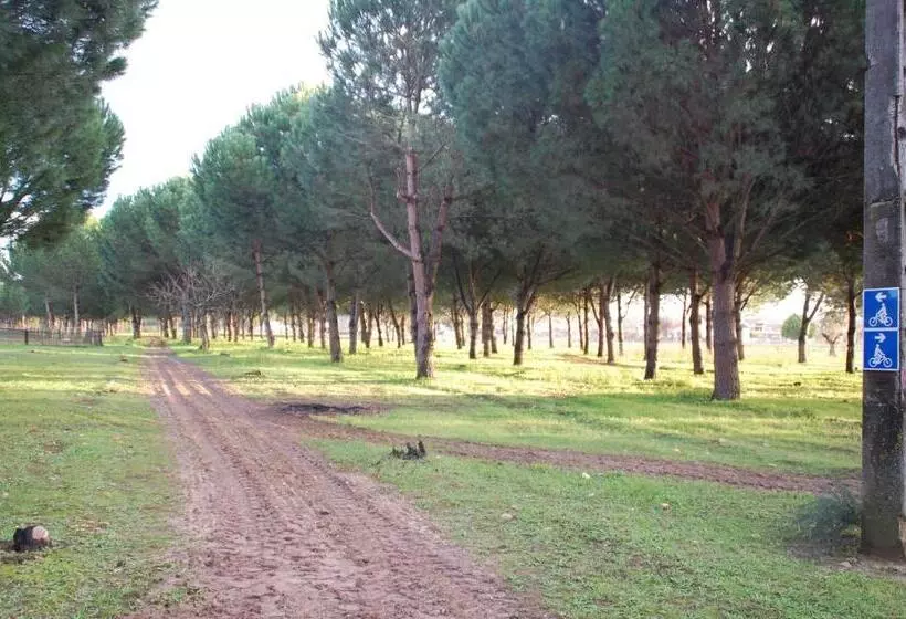 Majatalo Quinta A Reforma