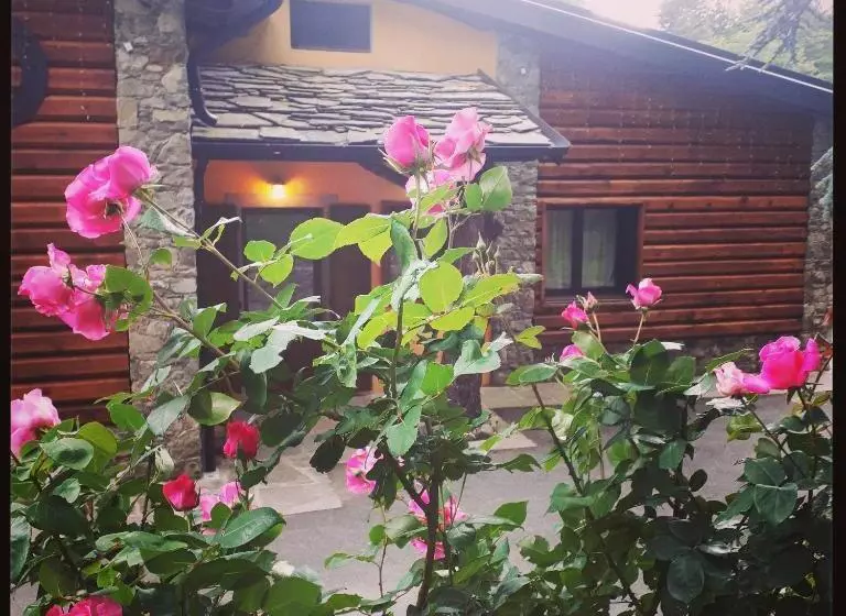 ペンション Trout Lodge