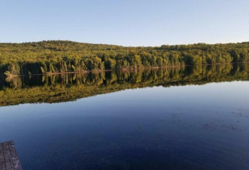 Bed and Breakfast Strong Timbers Bnb