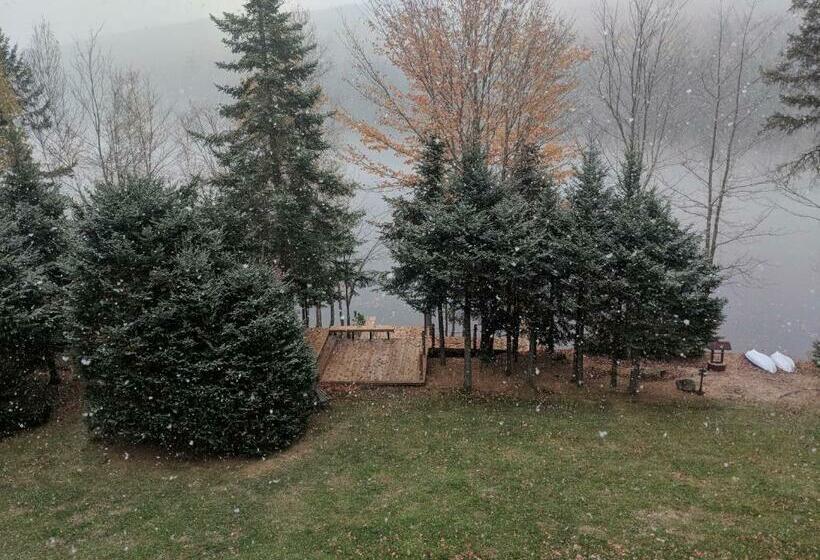 Bed and Breakfast Strong Timbers Bnb