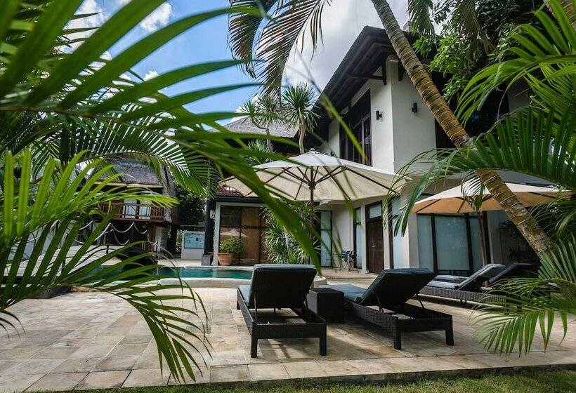 ユースホステル Wave House   Surf Camp