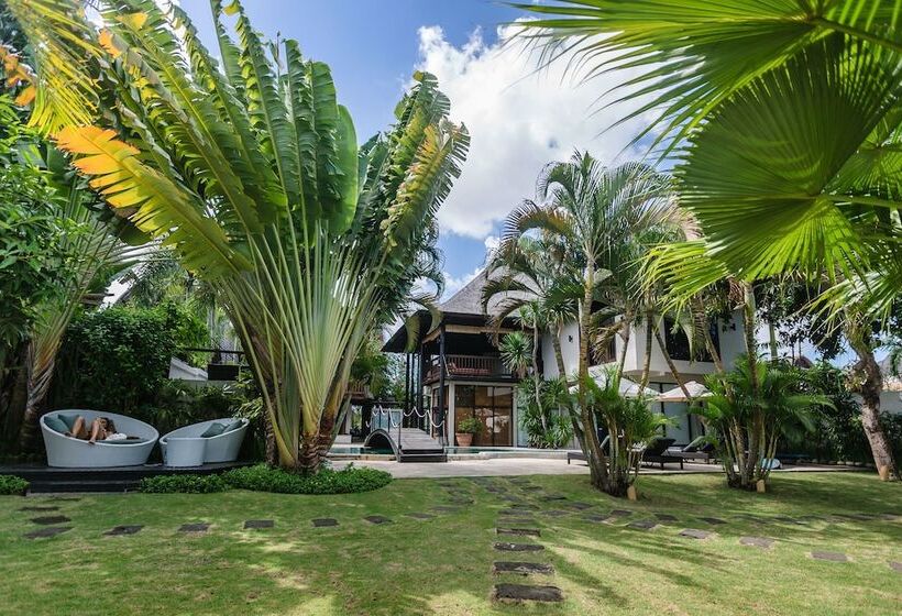 ユースホステル Wave House   Surf Camp