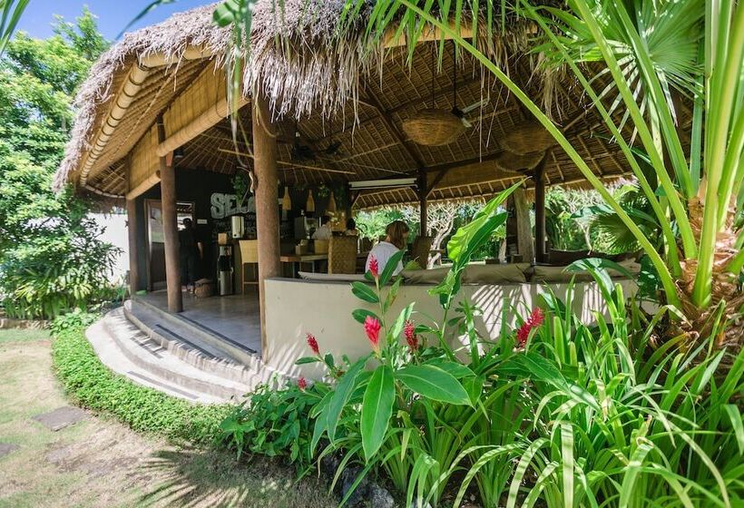 ユースホステル Wave House   Surf Camp