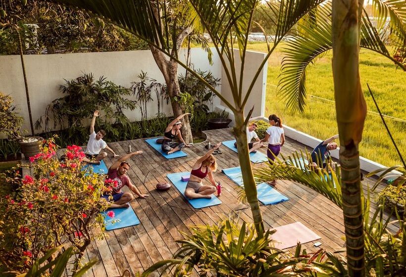 ユースホステル Wave House   Surf Camp