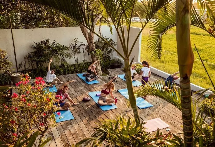 Retkeilymaja Wave House   Surf Camp