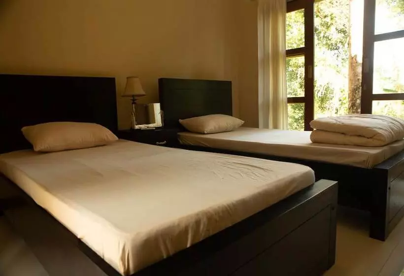 ユースホステル Arnata Guest House