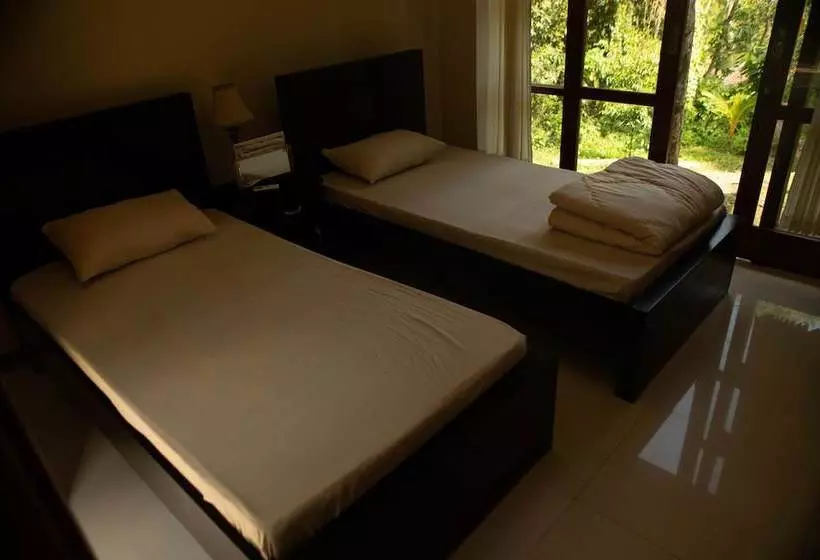 ユースホステル Arnata Guest House