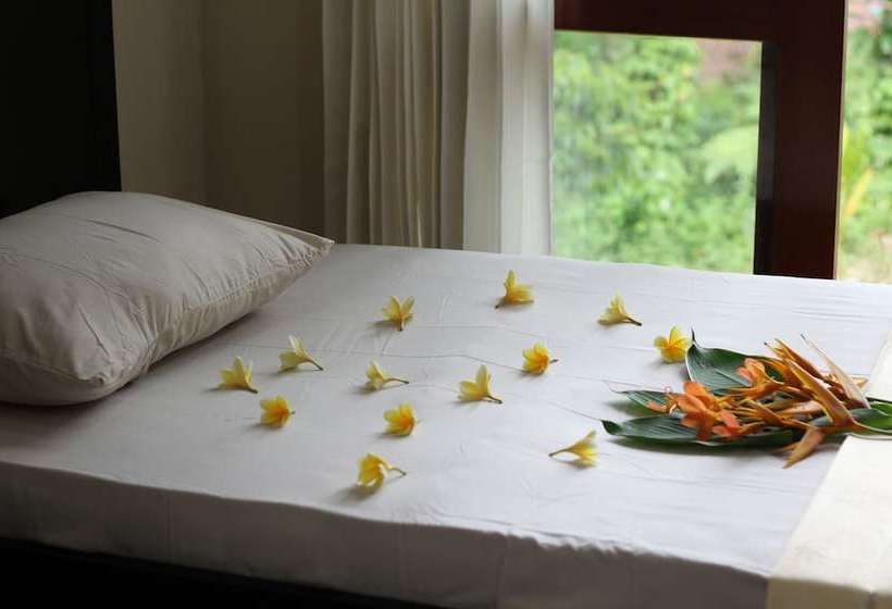 旅馆 Arnata Guest House