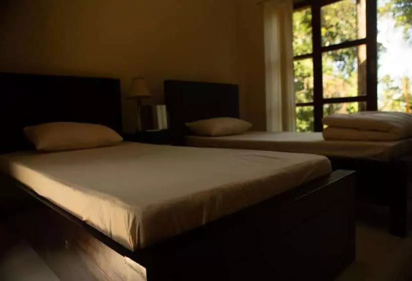 ユースホステル Arnata Guest House