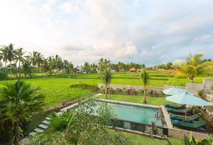 Aamiaismajoitus (B&B) Canting Bali Suite