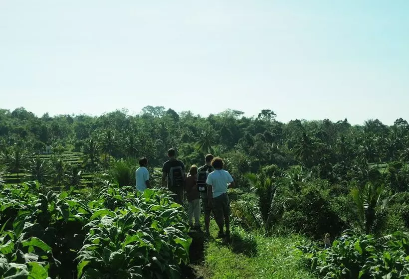 ベッドアンドブレックファースト Tetebatu Indah Homestay
