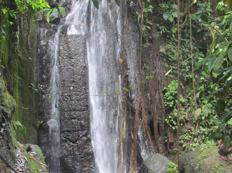 ベッドアンドブレックファースト Tetebatu Indah Homestay