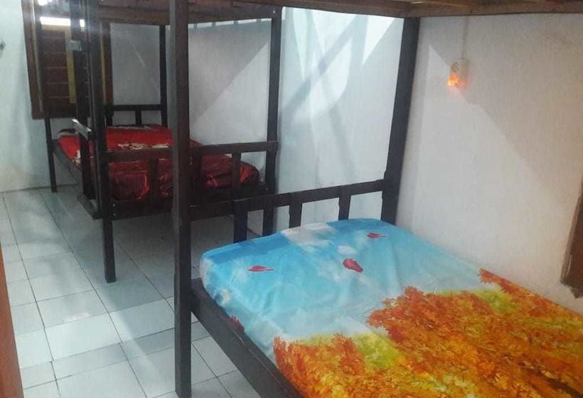 Hostel 88 Bunkbed Bromo