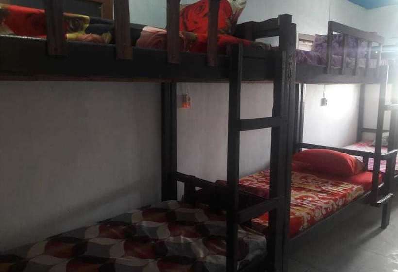 Hostel 88 Bunkbed Bromo