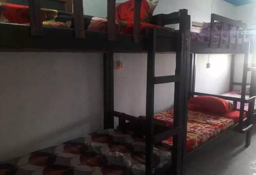 Hostel 88 Bunkbed Bromo