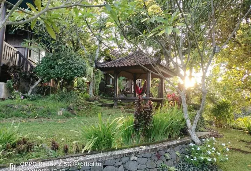 Hotelli D Kailash Retreat