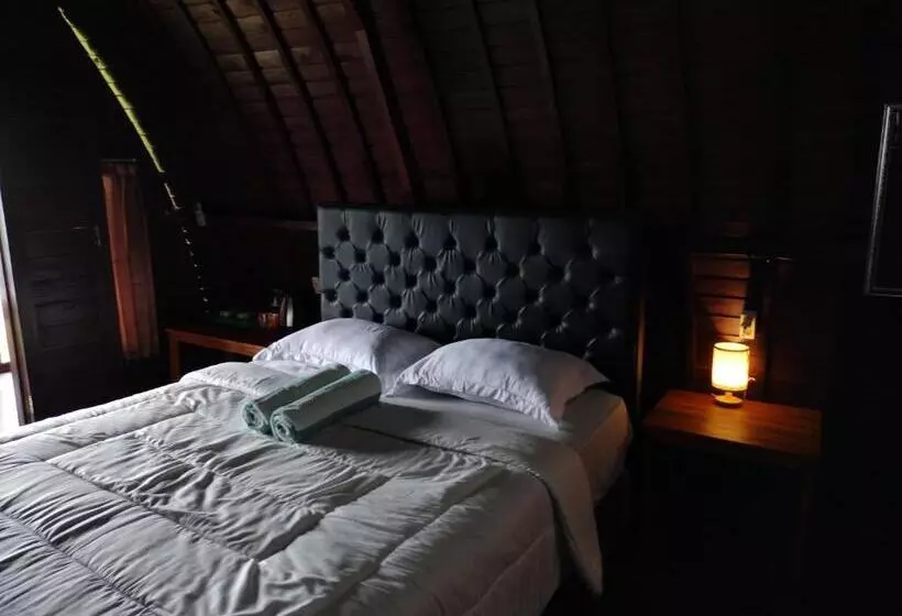 Hotelli D Kailash Retreat