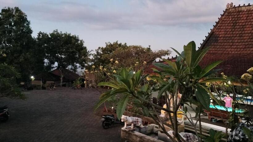 فندق D Kailash Retreat