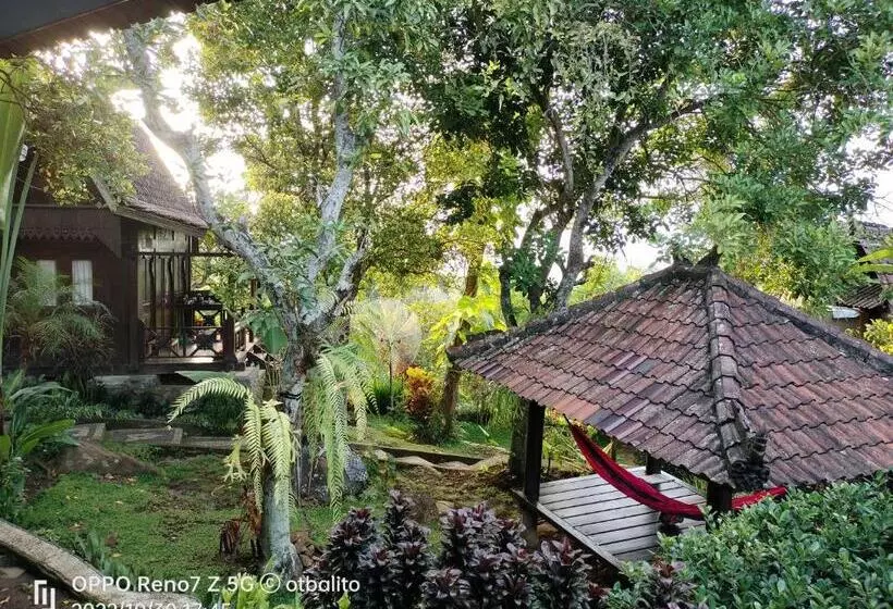 Hotelli D Kailash Retreat