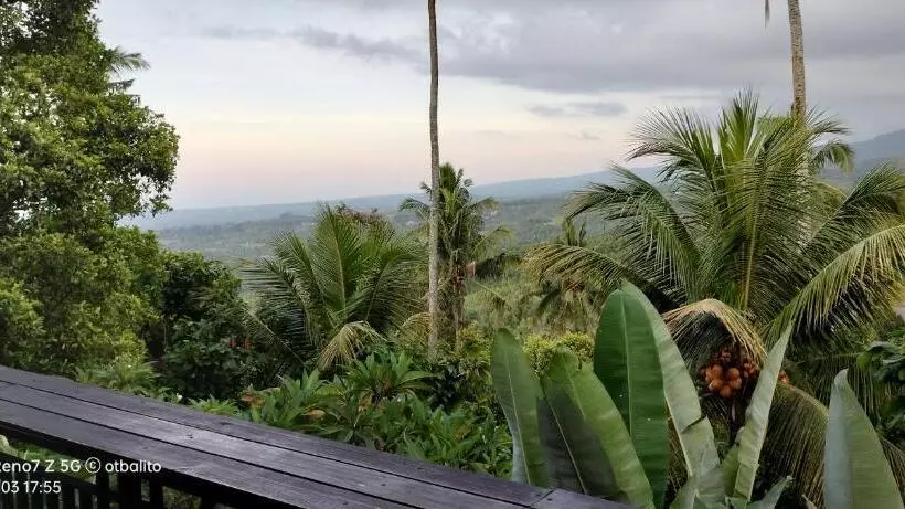 Hotelli D Kailash Retreat