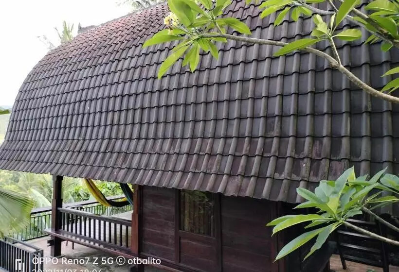 Hotelli D Kailash Retreat