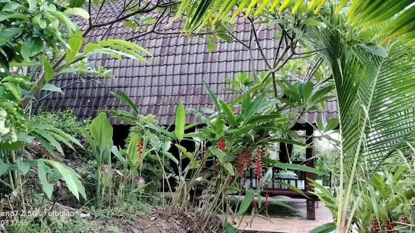 Hotelli D Kailash Retreat