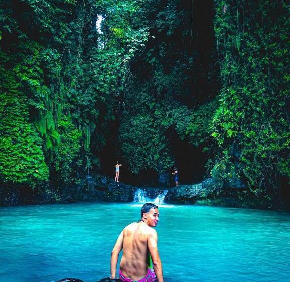 فندق D Kailash Retreat