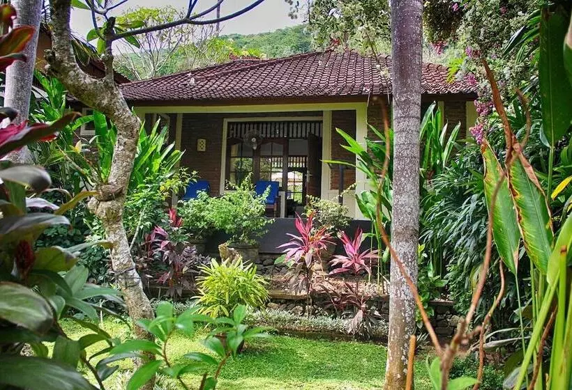 ホテル Dasa Wana Resort