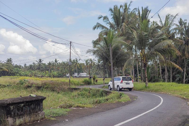 Отель Green Sala Villa
