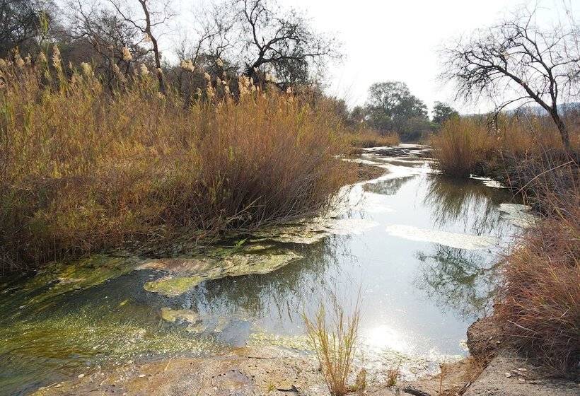 בית מלון כפרי Thandabantu Game Lodge
