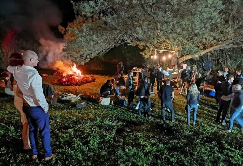 ペンション Clydesdale On Lions River