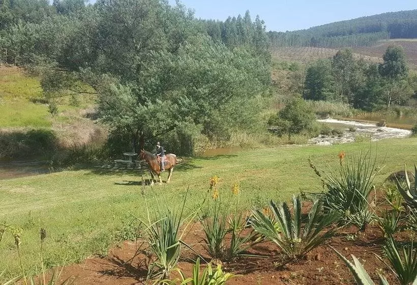 ペンション Clydesdale On Lions River