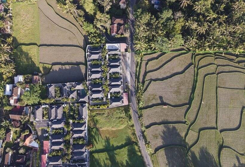 住宿加早餐  Asvara Villa Ubud By Ini Vie Hospitality