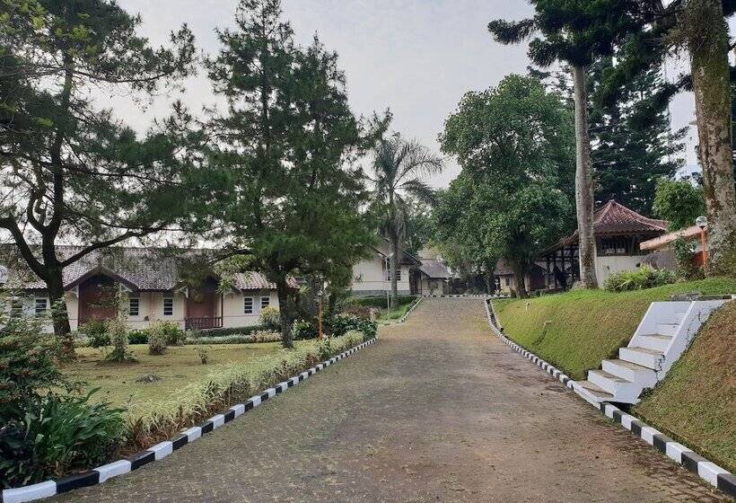 Bed and Breakfast Cisarua Indah Cottage