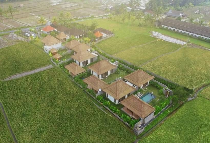 Bed and Breakfast Three Gold Luxury Private Villa