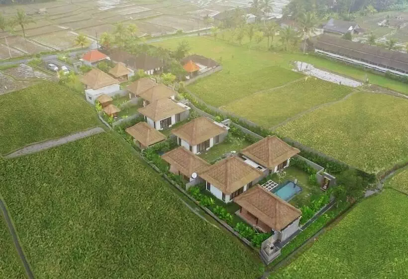 Aamiaismajoitus (B&B) Three Gold Luxury Private Villa