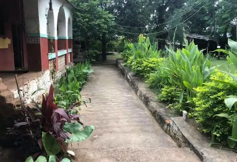 Hotelli Polo Forest Cottage