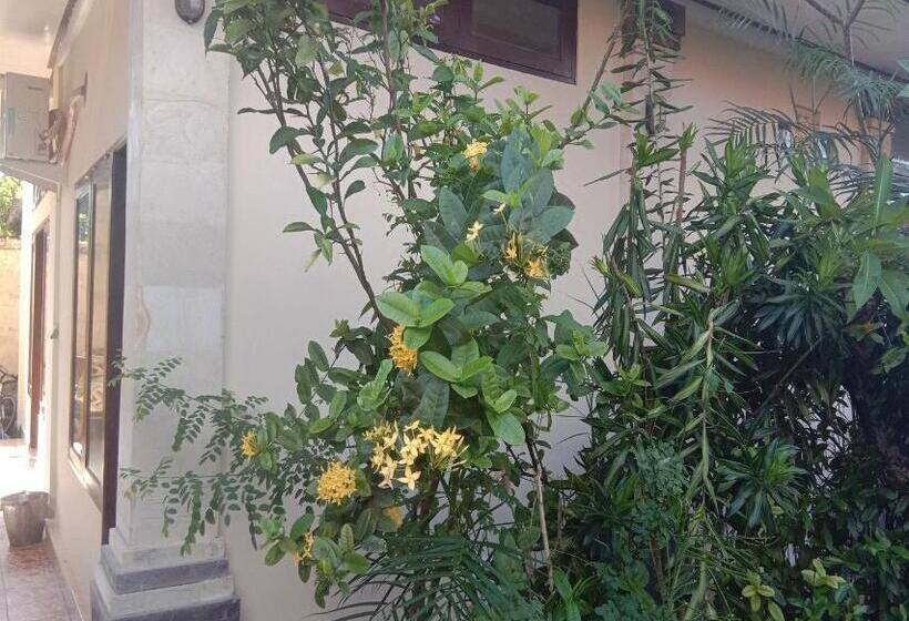 膳宿费 Loven Sanur Guest House