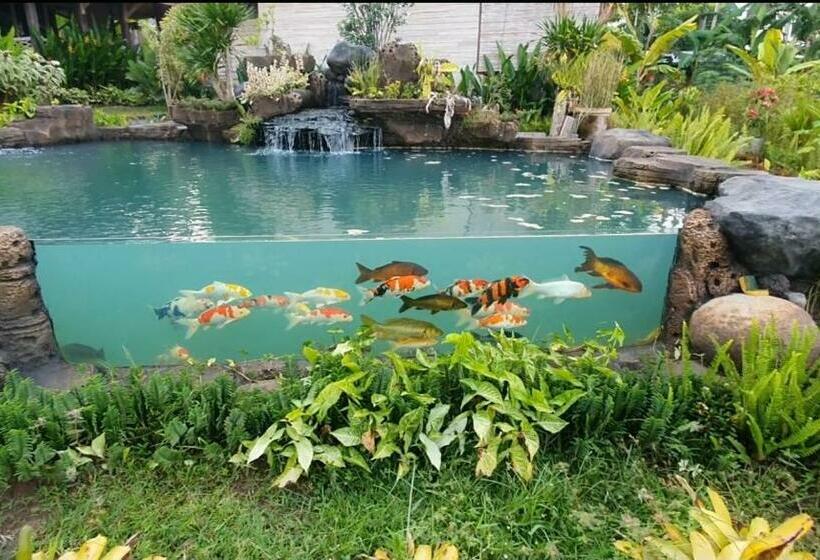 住宿加早餐 Agaliving Medewi