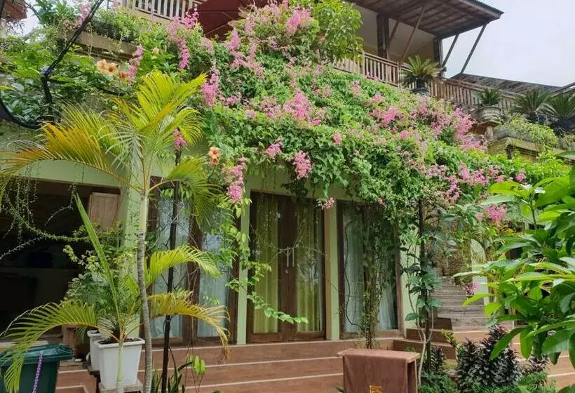 ベッドアンドブレックファースト Agaliving Medewi