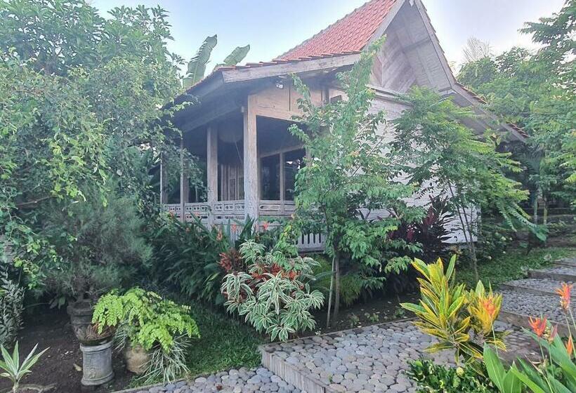 住宿加早餐 Agaliving Medewi